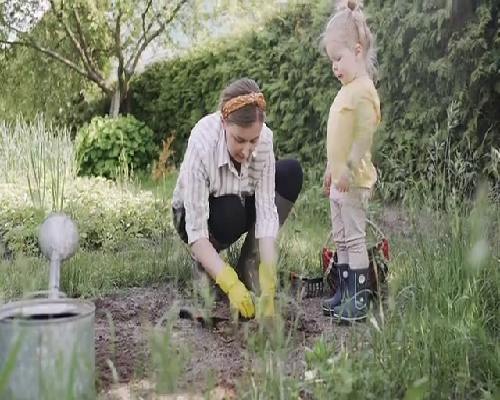 福建省2026年最新供卵助孕医院排名及成功率分析