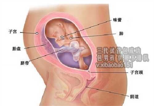 哪里有供卵代生小孩电话,南京找助孕女需多少钱,如何预防子宫内膜异位症