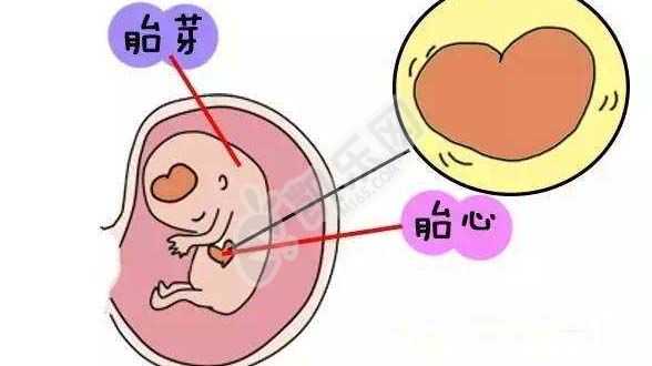 天津代孕孩子案例,在三亚有做试管婴儿的医院吗