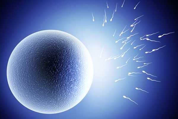 供卵代生孩子产子过程,为什么我取的卵多而可用胚胎少？试管这些常见问题，