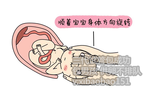 天津去做试管婴儿供卵机构,2胎儿nt增厚的原因分析