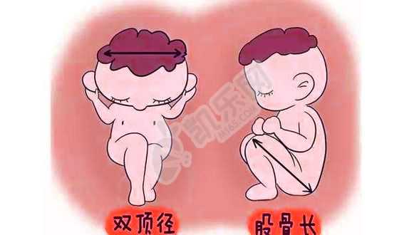 青岛第三代试管代生,天津市中心妇产医院试管婴儿详细费用：